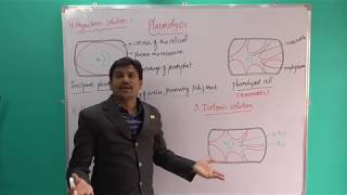 Plasmolysis Transport in plants cnu [upl. by Ttiwed]