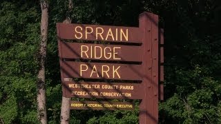 Sprain Ridge Park NY bike trail review in HD [upl. by Nay21]