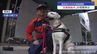 災害救助犬のことを知って！ 仙台でデモンストレーション [upl. by Attehcnoc106]