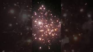 🪔Diwali special atoshbaji🎇🪔 happydiwali2024 love dwali vlog minivlog kalipuja baji [upl. by Rheta]