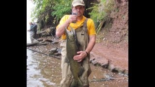 King Salmon fishing in New York It is on 18 mile creek [upl. by Eduj]