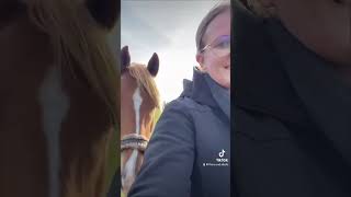 Habt ihr euer Seelenpferd schon gefundenseelenpferd pferdefreund lieblingspferd reitpony horse [upl. by Amelia]