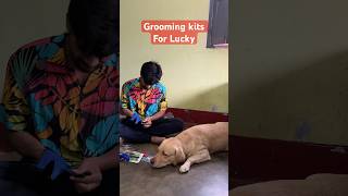 Lucky ka grooming kits😌🦮😍dogloverdogcarefunnydogloverdogownerlovedoglabrador [upl. by Onaimad]