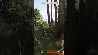 Stealth in Kingdom Come Deliverance 2 [upl. by Audly]