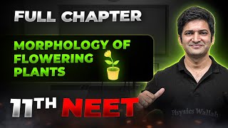 Morphology of Flowering Plants FULL CHAPTER  Class 11th Botany  Arjuna NEET [upl. by Orit]