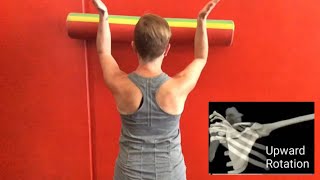 3 Exercises To Correct A Winged Scapula [upl. by Nej956]