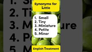 quotSynonyms for Little Expand Your Vocabquot words advancedvocabulary vocab synonyms learning [upl. by Enaile]