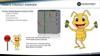 Termite Scalping System With Validated Performance [upl. by Neumark]