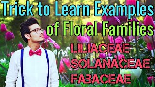 Amazing Tricks to Learn Examples of Families Solanaceae Liliaceae amp Fabaceae  NCERT Mnemonics [upl. by Lotty]