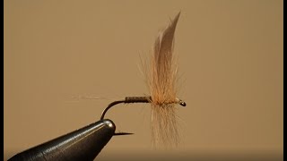 Fly Fishers International Silver Award Fly Tying Ginger Quill [upl. by Cenac]