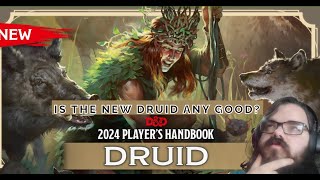 DRUID Class Changes in 2024 DampD [upl. by Bela]