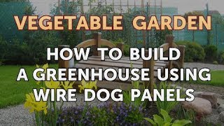 How to Build a Greenhouse Using Wire Dog Panels [upl. by Bonis]