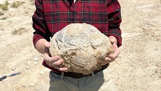 Massive Geode or Thunderegg See inside reveal rockhounding [upl. by Thatch]