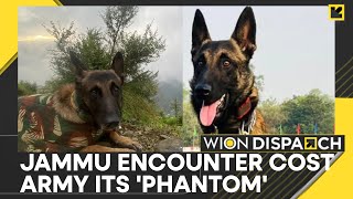 Army Dog Phantom Dies Heroically in AntiTerror Operation in Jammu  WION Dispatch [upl. by Browne812]