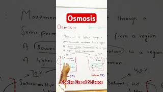 Osmosis  Concept based  class 12th  mdcat in English  GoldenEraScience [upl. by Alamap]