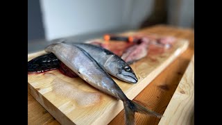 Sløye og filetere fisk [upl. by Llen]