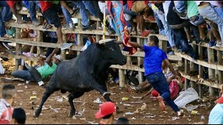 Inside Colombias Insane Bull Running Parties Gringo En Las Corralejas De Tolu Domingo [upl. by Debra]