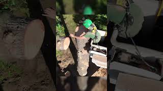 Removing An ENTIRE Fir Tree treeworker [upl. by Akiram246]