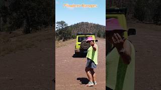 Flinders Ranges southaustralia outback roadtrip offroad [upl. by Lamb]