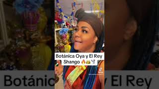 My experience in Botánica Oya El Rey Shango eshu Oya Shango [upl. by Tezil]