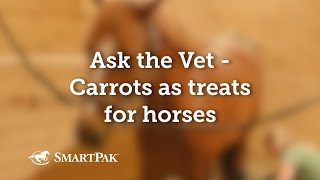 Ask the Vet  Carrots as treats for horses [upl. by Icats588]