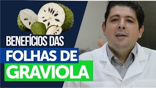 Os benefícios do chá das folhas de graviola no combate ao câncer [upl. by Tenenbaum]