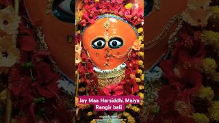 Maiya ki mudariya Jay 🚩Maa Harsiddhi Maiya Rangir bali 🚩🙏shots viralvideo devigeet [upl. by Pickard]