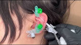 Industrial piercing  Rook piercing  Conch piercing  Inner lobe piercing [upl. by Aisinoid]