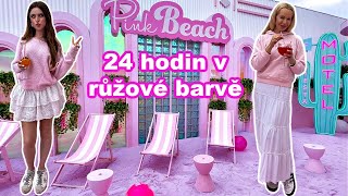 24 HODIN V RŮŽOVÉ BARVĚ CHALLENGE [upl. by Ahasuerus]