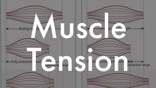 Muscle tension [upl. by Punke]