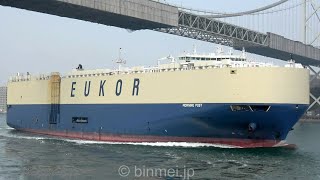 MORNING POST  EUKOR CAR CARRIERS vehicles carrier  2021 [upl. by Horick]