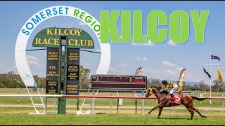 【KILCOY】AUSTRALIA HORSE RACE ANALYSIS [upl. by Weinstock]