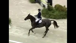 WIHS Top 10 Jump Offs McLain Ward amp Sapphire [upl. by Kcirneh]