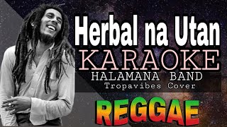 HERBAL NA UTAN  Rapapampam  REGGAE KARAOKE VERSION  MVM KARAOKE PLAYLIST [upl. by Ivad]