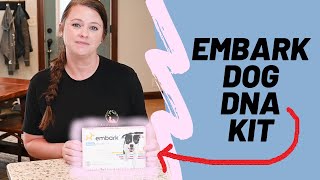 Embark Dog DNA Test  Review [upl. by Ylyl]