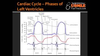 Cardiac Cycle  Phases of Left Ventricles [upl. by Evadne771]