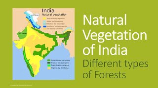 What is Natural Vegetation Different types of forests in India Evergreen Tropical Deciduous Thorny [upl. by Moreland]