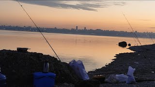 ADANA SAZAN AVI 🐟 sazanavi carpfishing adana [upl. by Izmar212]