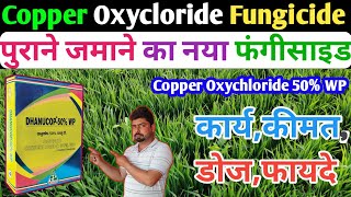 Copper Oxychloride Fungicide । Copper Oxychloride 50 WP । शानदार फंगीसाइड पूरी जानकारी A2Z [upl. by Yhtir]