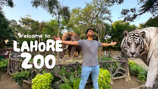 Lahore Zoo Visit  Suziii abhi bhe Zinda ha [upl. by Carolan]