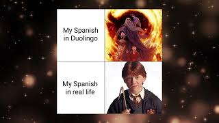 Harry Potter Memes That Will Brackium Your Emendo [upl. by Ahsieat]