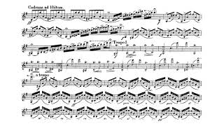 Violin Concerto in E minor Op 64  Felix Mendelssohn Score [upl. by Euqilegna944]