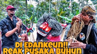 CIBULAKAN ENDEUR REAK PUSAKA BUHUN DI EDANKEUN DI JALAN [upl. by Daza904]