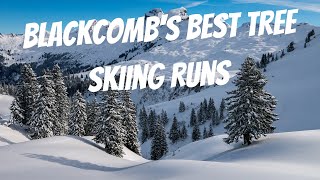 The Best Tree Skiing Runs on Blackcomb  Whistler Blackcomb Ski Guide [upl. by Akeemat]