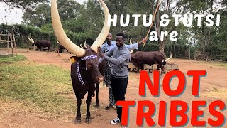 EAC Tour RWANDA HUTU amp TUTSI are NOT TRIBES [upl. by Yrroc]