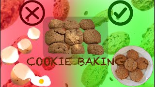 We Turned COOKIE BAKING Into A MESS [upl. by Tris]