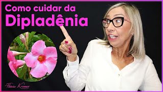 Como cuidar da planta Dipladênia  Flávia Kremer [upl. by Barbarese]