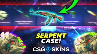 I BRAKE CASE BATTLE RECORD Csgoskins Promo Code 2024 [upl. by Brander37]