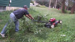 Greg Zanis Got A Free Toro Lawn Mower From Craigslist and Cutting The Long Greens [upl. by Oliana]