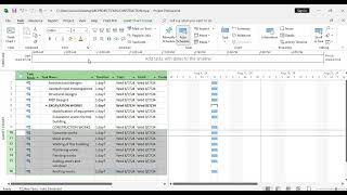 WORK BREAKDOWN STRUCTURE IN MS PROJECT [upl. by Wiseman928]